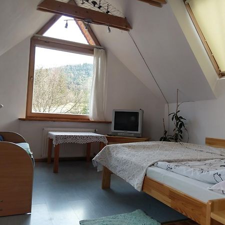 Apartamencik Z Widokiem Na Giewont ザコパネ エクステリア 写真