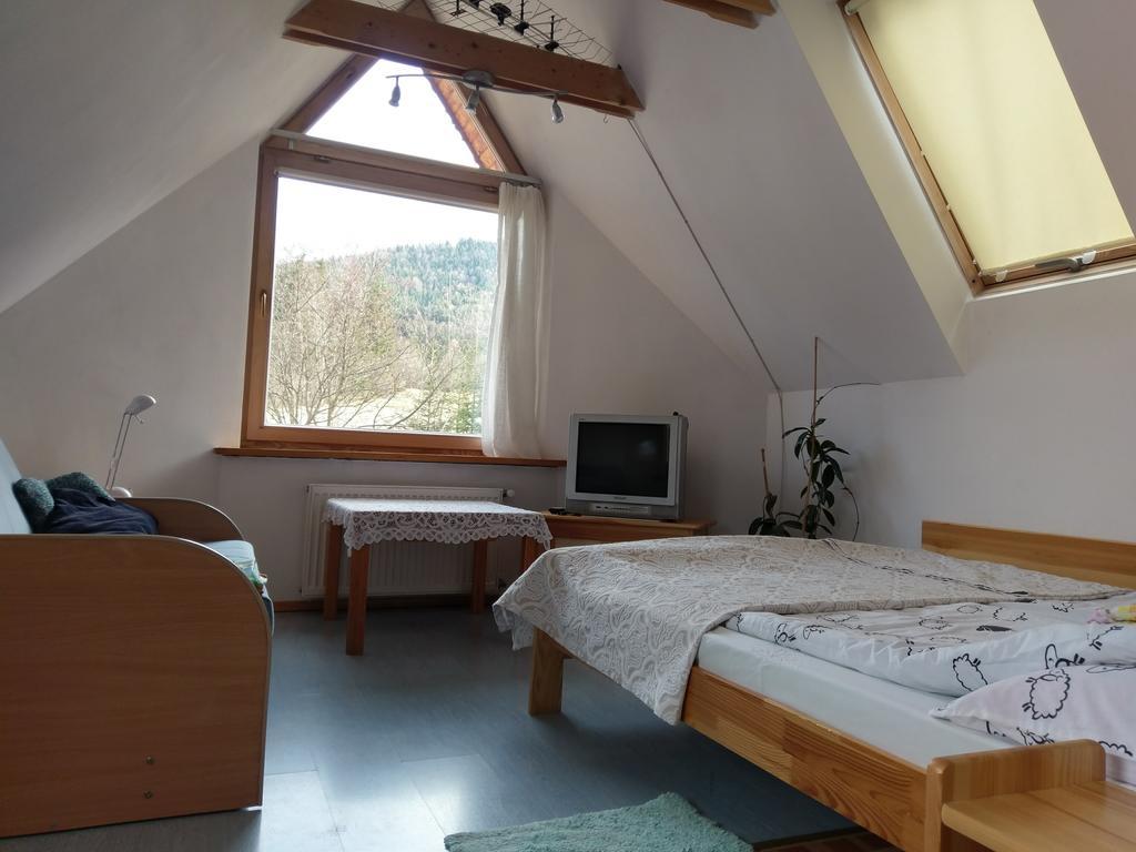 Apartamencik Z Widokiem Na Giewont ザコパネ エクステリア 写真