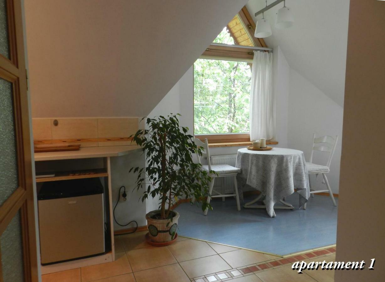 Apartamencik Z Widokiem Na Giewont ザコパネ エクステリア 写真