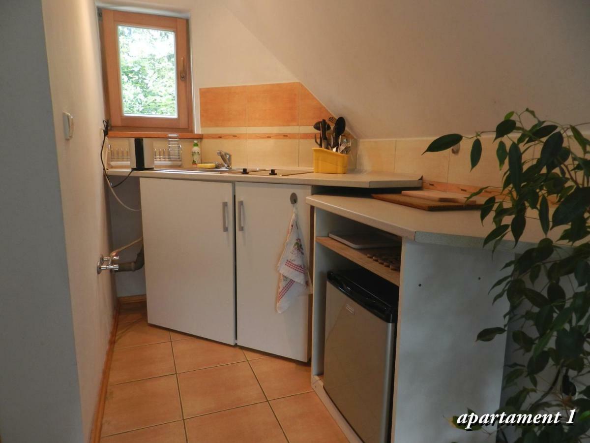Apartamencik Z Widokiem Na Giewont ザコパネ エクステリア 写真