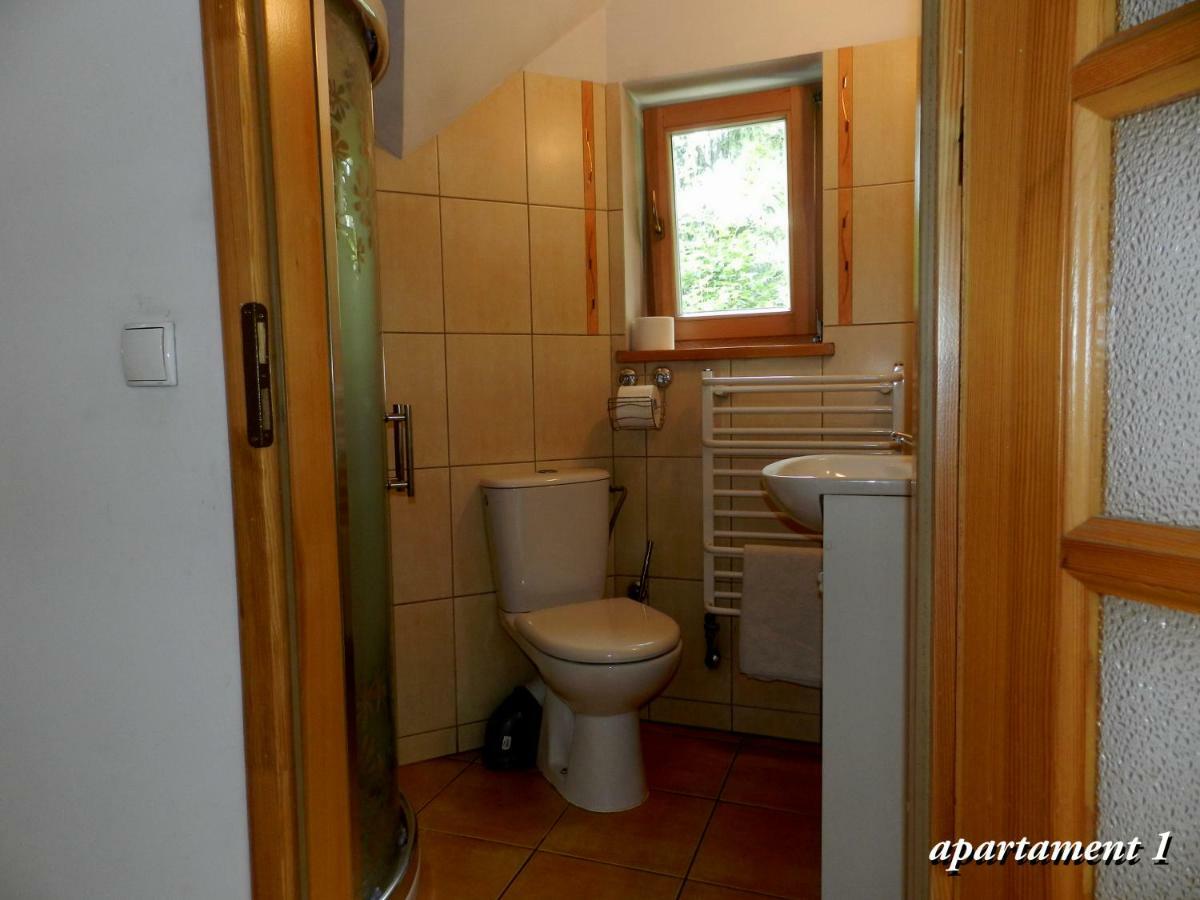 Apartamencik Z Widokiem Na Giewont ザコパネ エクステリア 写真